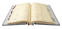 accounts ledger