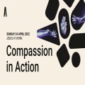 Compassion in Action