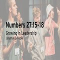 Growing in Leadership